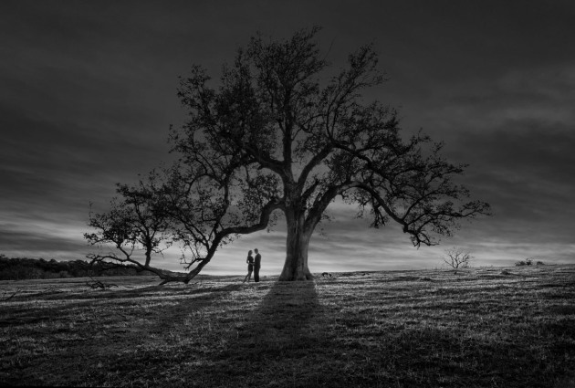 &copy; Luke Edmonson
