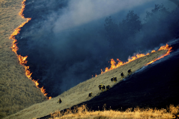 Environment Singles Nominee. &copy; Noah Berger, United States, for Associated Press. Battling the Marsh Fire. Firefighters battle the Marsh Complex Fire, near the town of Brentwood, California, USA on 3 August.