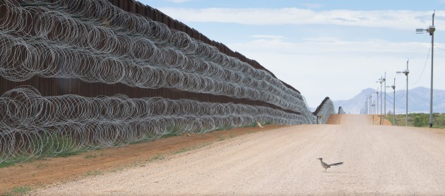 Nature Singles Nominee. &copy; Alejandro Prieto, Mexico. Roadrunner Approaching the Border Wall. A greater roadrunner approaches the border wall at Naco, Arizona, USA on 28 April.