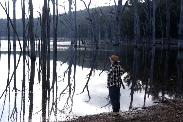 Flooded trees near Kooboolong.