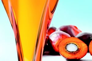 In 2014, the estimated global production of total palm oil was almost 70 million tonnes, with over 85 per cent exported from Indonesia and Malaysia.