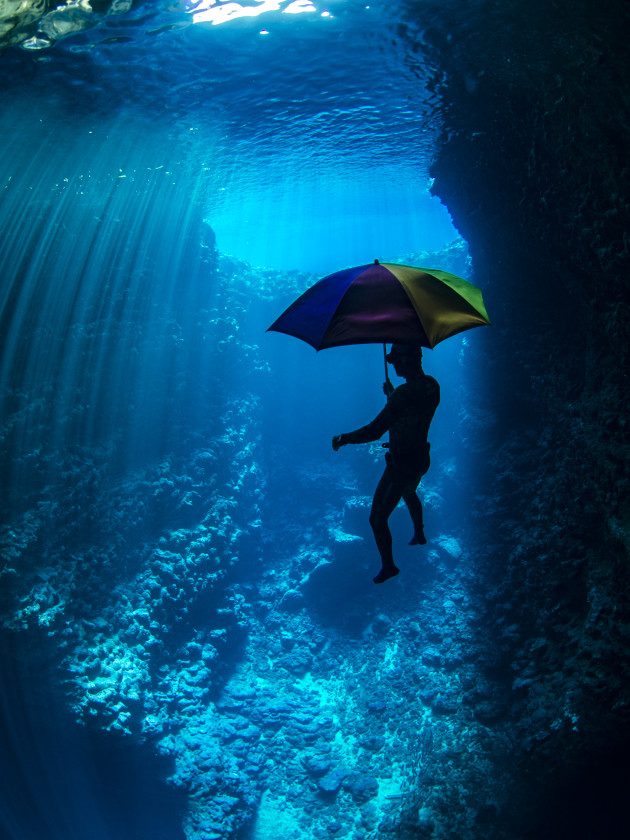 Always take the weather with you. Freediver drifting with an umbrella in an underwater cave in the Kingdom of Tonga.
&copy; Erez Beatus. (Australia, Shortlist)