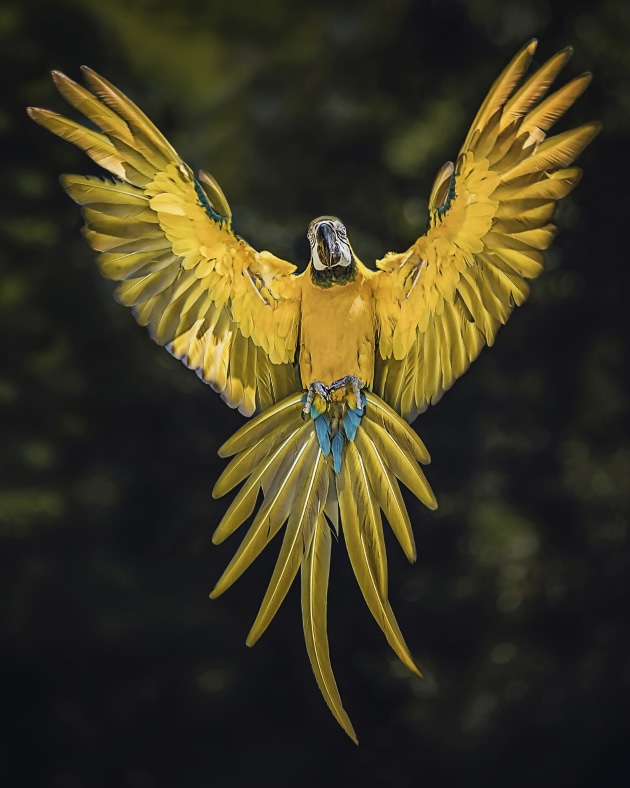 &copy; Emma Fleetwood
