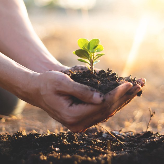 De Bortoli&rsquo;s tree planting initiative with the 17 Trees Plant-a-Tree program has reached the milestone of planting 50,000 trees since its launch in 2020.