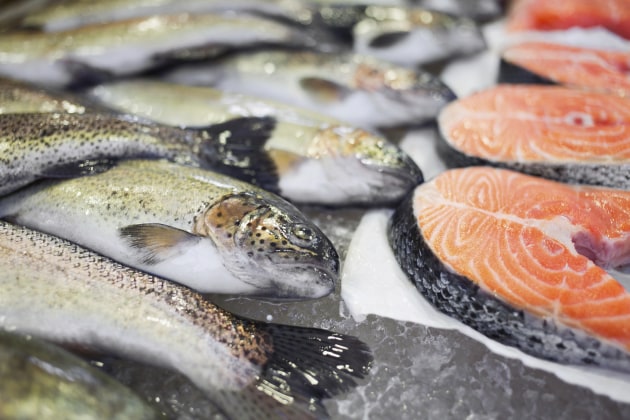 Research from the University of South Australia has shown that the Australian seafood industry is now more resilient to food shocks &ndash; with fishery reform and better management creating a stronger system.
Source: Thinkstock