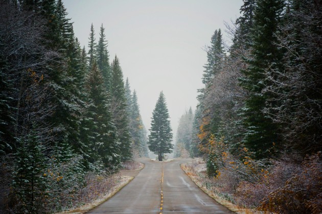 Alberta, Canada. &copy; Lauren Bath.
