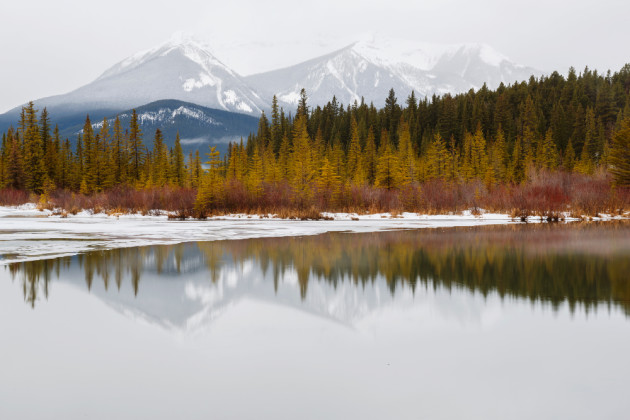 Alberta, Canada. &copy; Lauren Bath