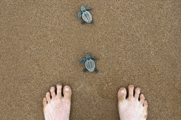 Bundaberg, Australia. &copy; Lauren Bath