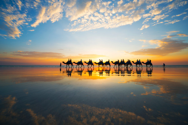 Camel train. &copy; Lauren Bath