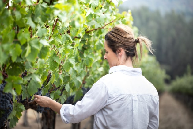 In 2018, Penfolds chief winemaker Peter Gago, senior winemaker Stephanie Dutton (above) and winemaker Andrew Baldwin re-established the Penfolds footprint within the northern hemisphere and embarked on the 2018 harvest.