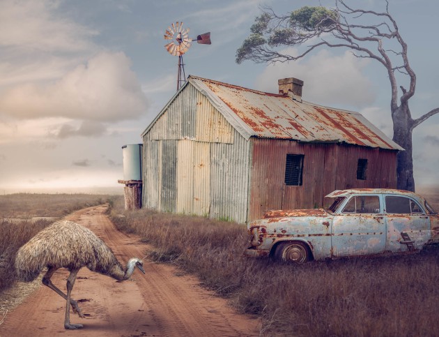 &copy; Todd Cleave. Runner-up &ndash; Art, Australasia's Top Emerging Photographers 2022.