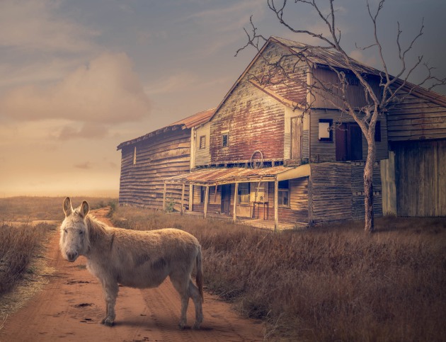 &copy; Todd Cleave. Runner-up &ndash; Art, Australasia's Top Emerging Photographers 2022.