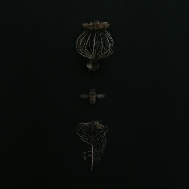 &copy; Krystle Ricci. Runner-up, Art &ndash; Australasia's Top Emerging Photographers 2020.