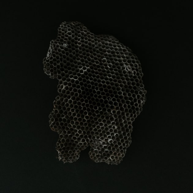 &copy; Krystle Ricci. Runner-up, Art &ndash; Australasia's Top Emerging Photographers 2020.