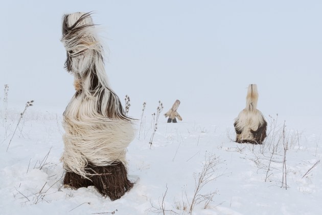 &copy; Kristyn Taylor. Runner-up, Travel &ndash; Australasia's Top Emerging Photographers 2020.