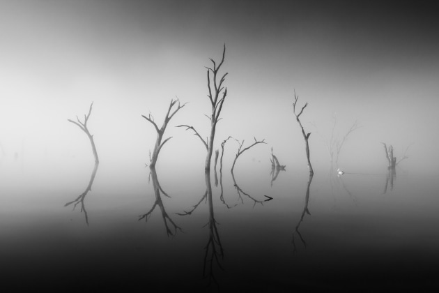 &copy; Todd R Brewer. Runner-up, Black & White &ndash; Australasia's Top Emerging Photographers 2021.