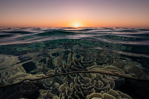 &copy; Ashlee Karas. Runner-up, Landscape &ndash; Australasia's Top Emerging Photographers 2021.