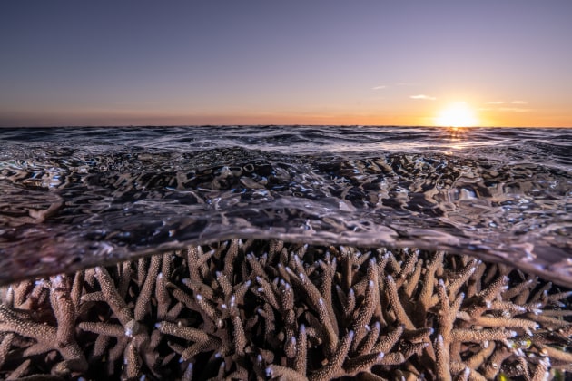 &copy; Ashlee Karas. Runner-up, Landscape &ndash; Australasia's Top Emerging Photographers 2021.