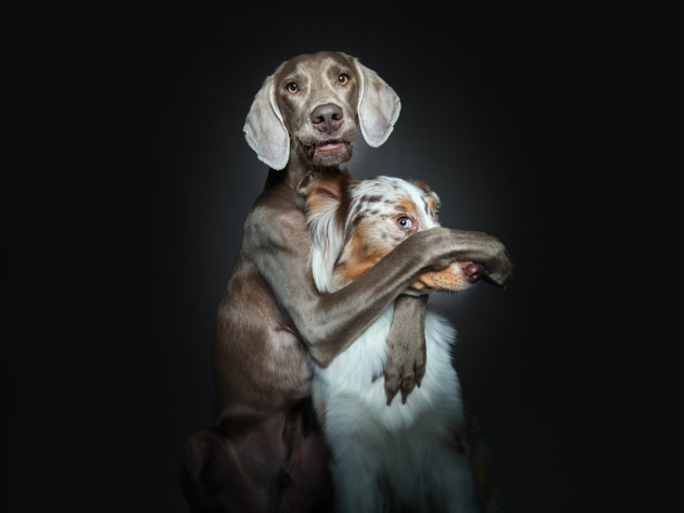 &copy; Christian Vieler