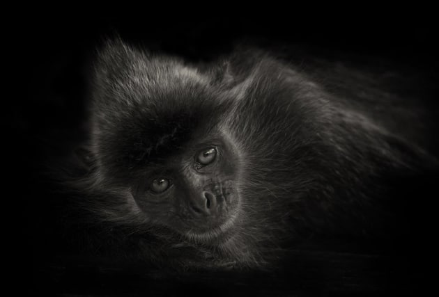&copy; Jennifere Thompson.