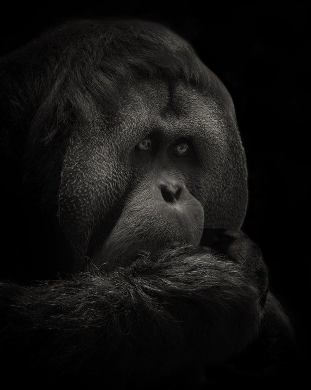 &copy; Jennifere Thompson.
