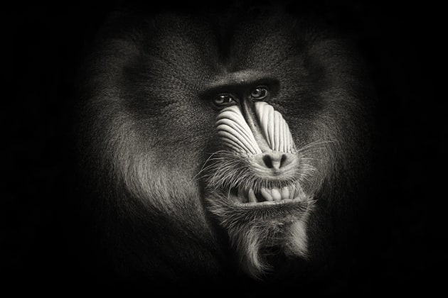 &copy; Jennifere Thompson.