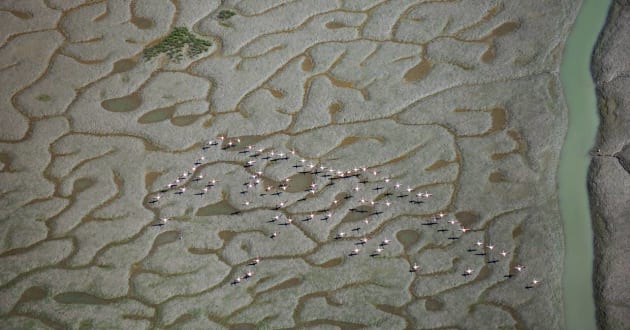 AIPP NSW Science, Wildlife & Wild Places Professional Photographer of the Year &ndash;  Ignacio Palacios