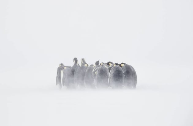 Documentary Photographer of the Year &ndash; Joshua Holko