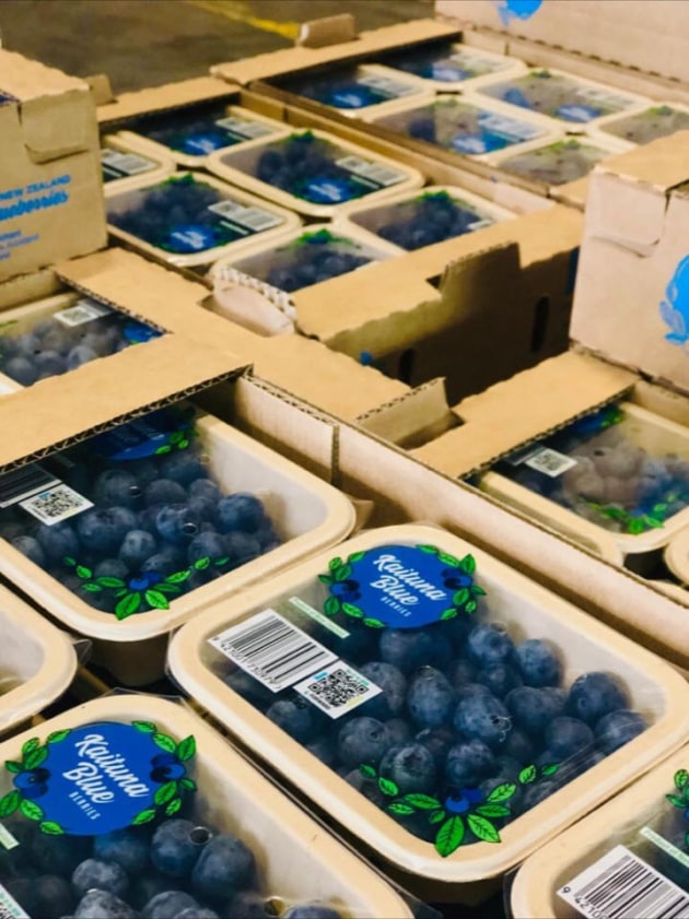 PIDA 2019 Finalist, Food and Sustainable Packaging Design: Punchbowl Packaging for Kaituna Blueberries peel-able, re-sealable, tamper-proof top seal fibre punnets.