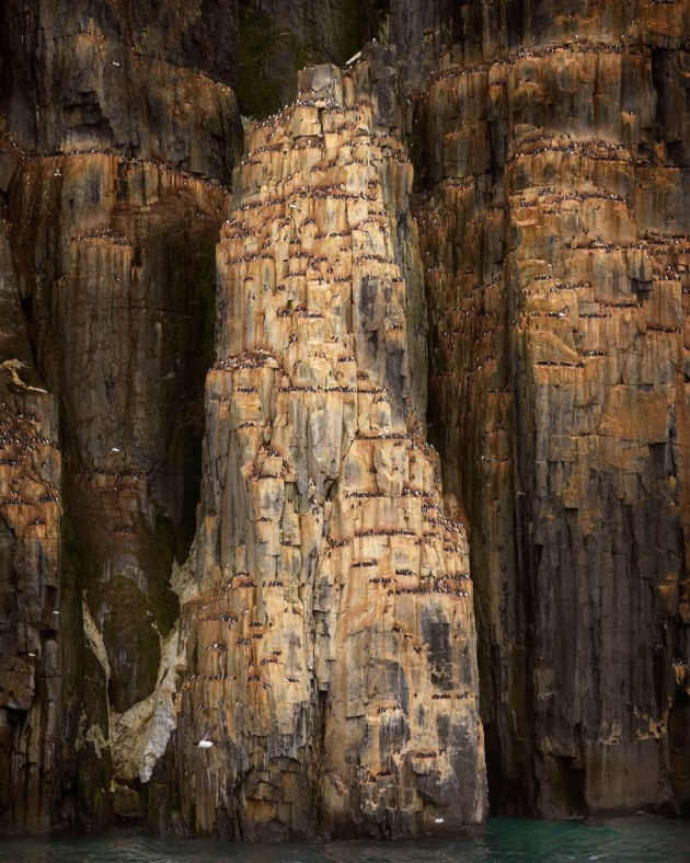 &copy; Peter Eastway APP.L GM.Photog. I P.B. Hon. FNZIPP, FNZIPP, FAIPP, Hon. FAIPP (Nature) &ndash; New South Wales.
