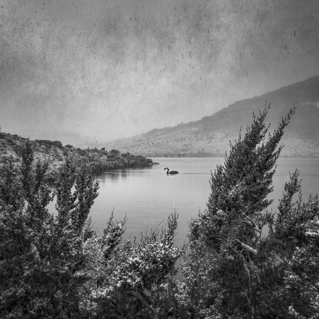 &copy; Matt Palmer APP M.Photog. (Landscape) &ndash; Tasmania.