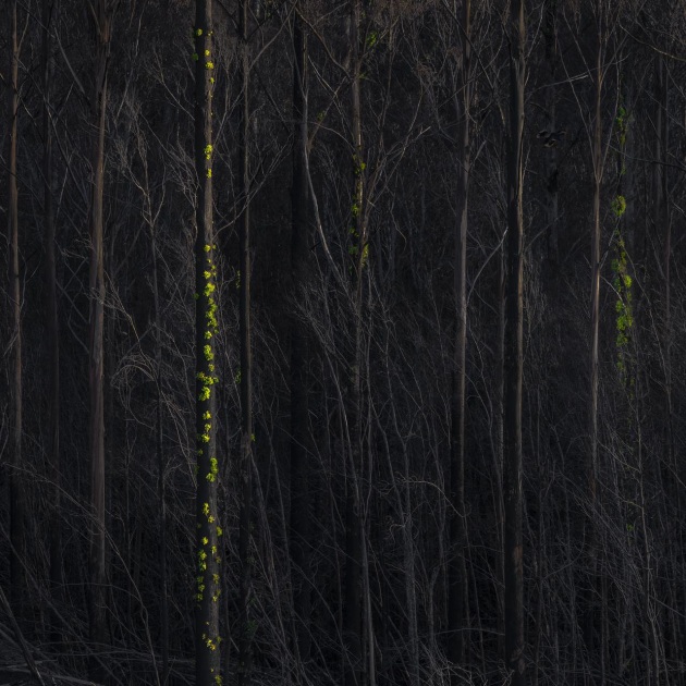 &copy; Matt Palmer APP M.Photog. (Landscape) &ndash; Tasmania.