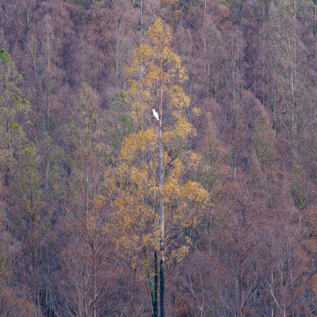&copy; Matt Palmer APP M.Photog. (Landscape) &ndash; Tasmania.
