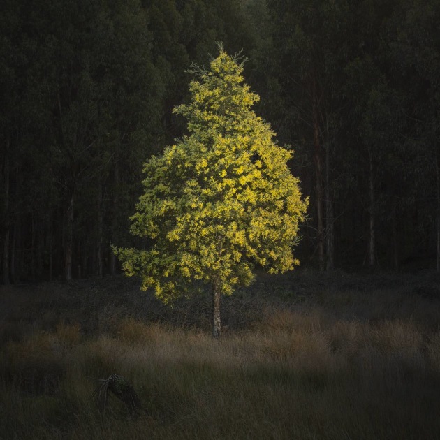 &copy; Matt Palmer APP M.Photog. (Landscape) &ndash; Tasmania.