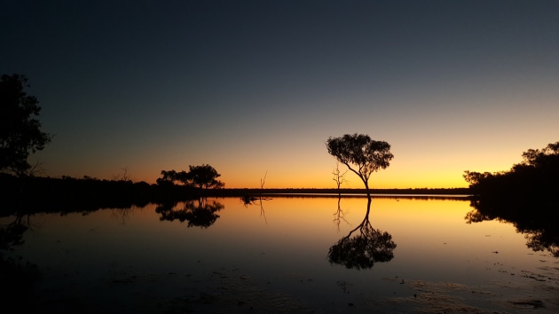 The Lakes National Park. Photo_Qld Govt