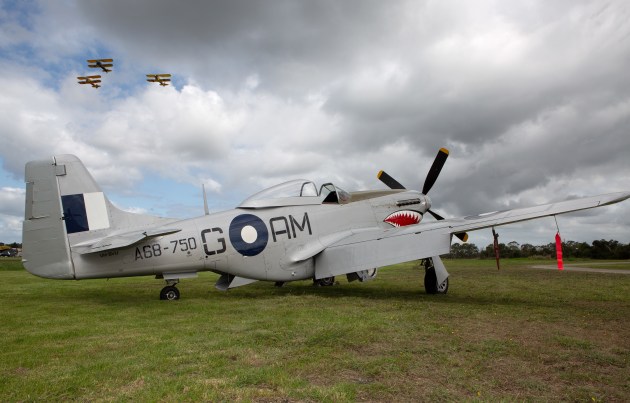 An RAAF Museum Heritage Flight Mustang.