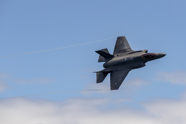 Meggitt's technology is found on almost every major aircraft platform, including the F-35 fighter jets. (Defence)