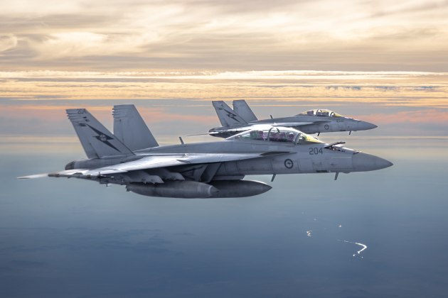 The RAAF&rsquo;s Super Hornets and Growlers will undergo planned capability upgrades. 

Credit: Defence