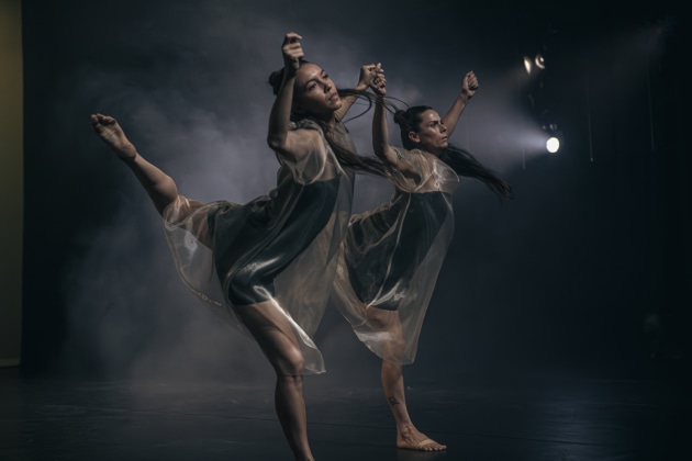 Tra Mi Dinh's 'Seven dances for two people'. Photo by Gregory Lorenzutti.