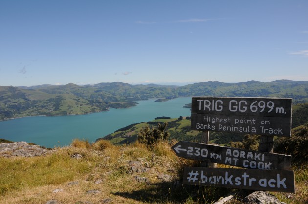 Trig 699, the highest point of the Banks Track, Day 1.