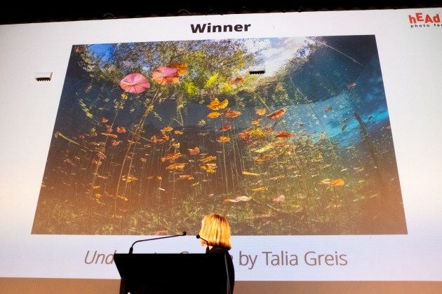 'Underwater Garden' by Talia Greis &ndash; winning image for Landscape Prize. Image: Tim Levy
