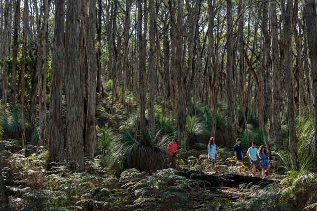 Deep Creek Conservation Park. John Montesi