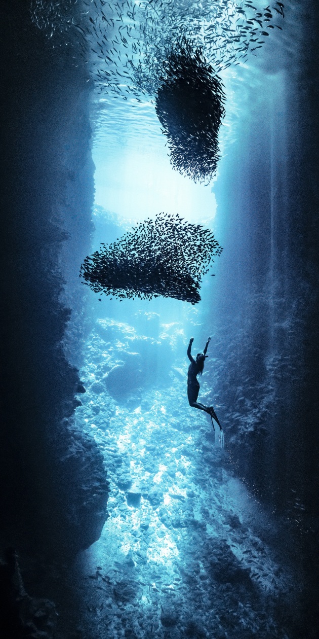 &copy; Rita Kluge, Australia. 2017 Carolyn Mitchum Award Winner 2nd Place.
Freedom, Tonga.
"I like to share with you where I find freedom, a place of hope and beauty. This is a cave I was taken to named swallows cave in the south pacific of Tonga. Its very tall and about 14 m deep. I have been visiting this place three years in a row and longing overtime to be in there again.
Swallow birds, hence its name, flying around and making birdy sounds, then when you swim in you enter a darkness first it echoes in there, its magical. Then you made it to the end of that cave which is like the inside of being in an egg so its sort of oval in there like a cocoon and you feel safe. You turn to look to the entrance of that cave half where the birds flying in and out and half underwater. You can see the ground of it as on this picture and you see blue in such a beautiful way as I tried to capture for you."