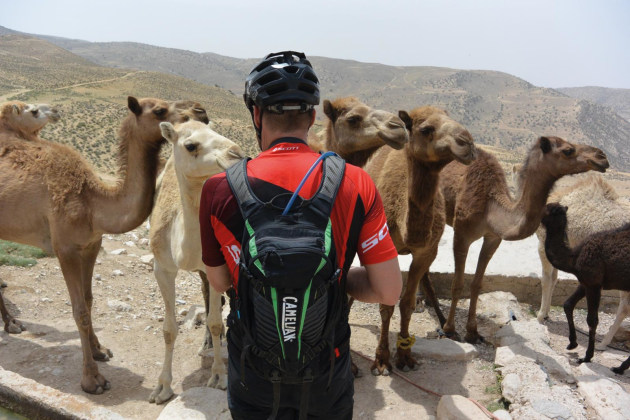 Hydration station for camels and Camelbak