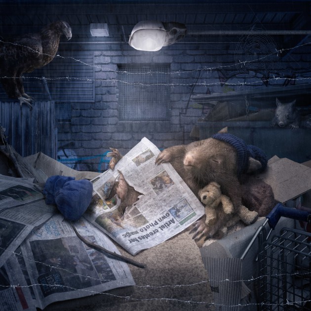 &copy; Karen Alsop