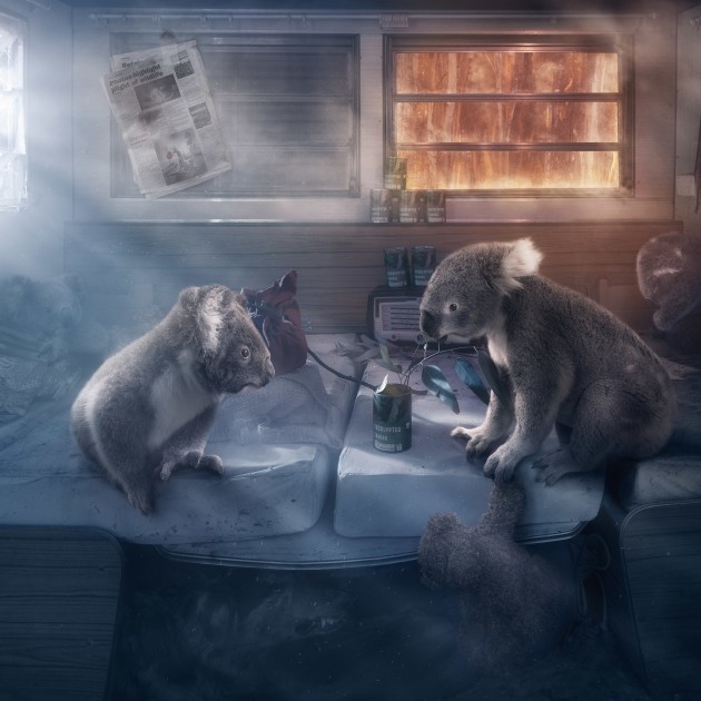 &copy; Karen Alsop