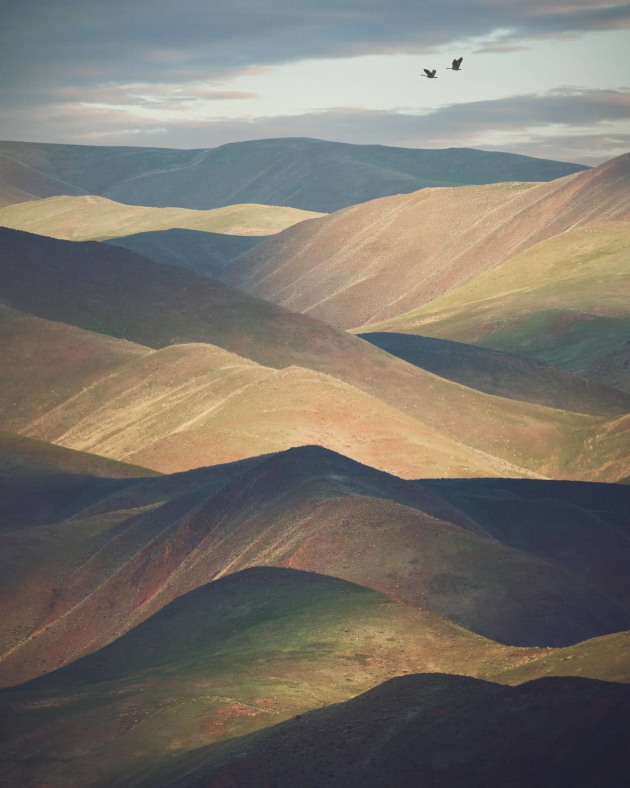 Landscape category winner, Benjamin Everett, Lopez Island, USA.