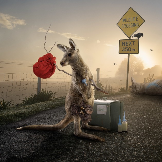 &copy; Karen Alsop
