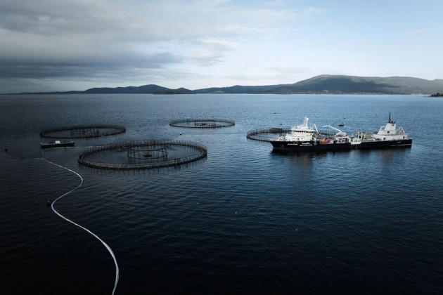 After a difficult start to the year, including a CEO changeover, antibiotic backlash, and a loss of RSPCA certification, Huon Aquaculture is partnering with TasmaNet to deploy digital infrastructure and smart technology &ndash; aiming to drive innovation and sustainability in its salmon farming.
Source: Huon Aquaculture