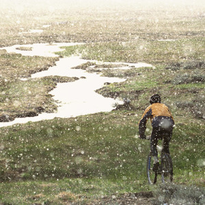 Rain offers the chance to capture shots with a different look and feel to what we normally see. (Thinkstock.)